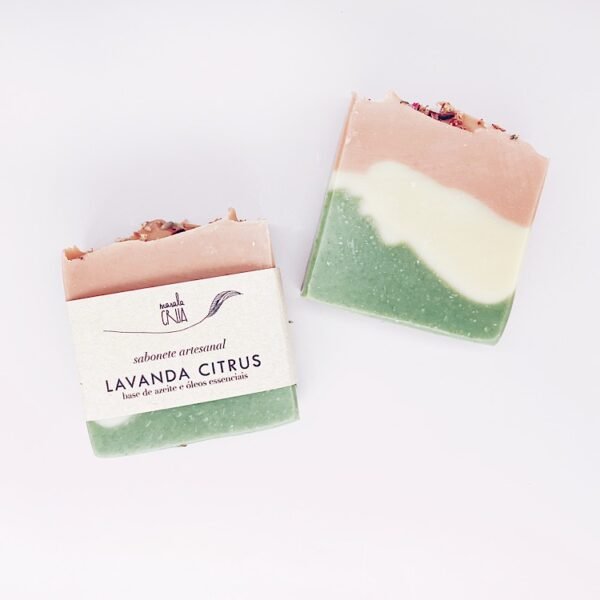 soap | lavender citrus