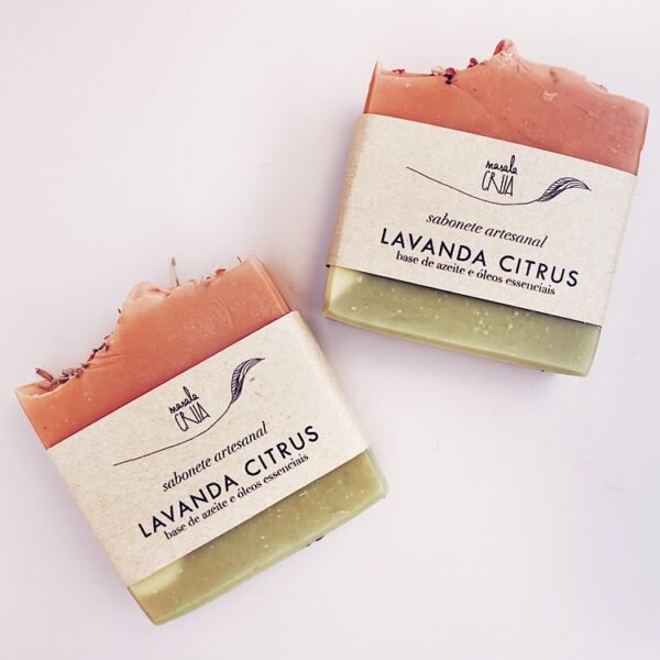 soap | lavender citrus