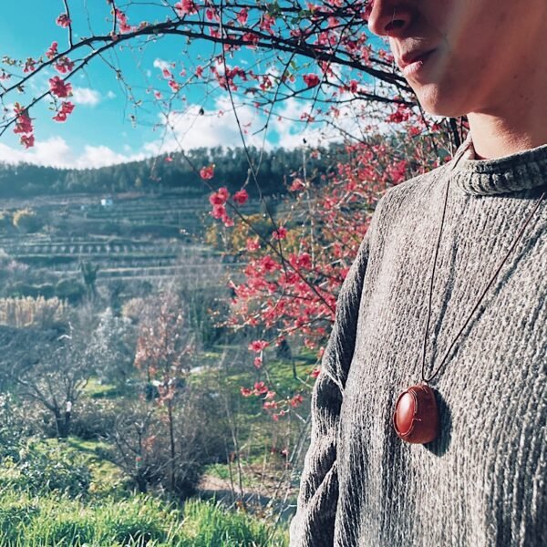 pendant | red jade