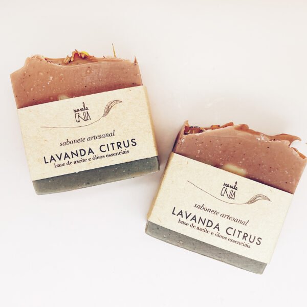 soap | lavender citrus