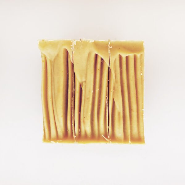 soap | orange cinnamon