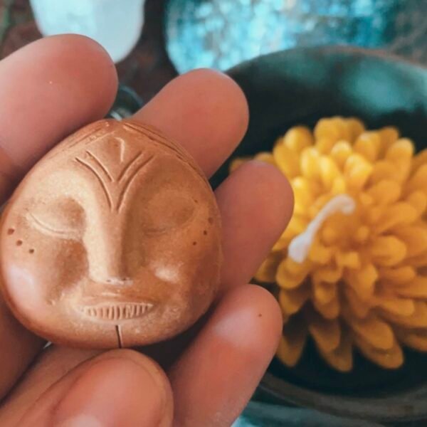avocado seed | mamita