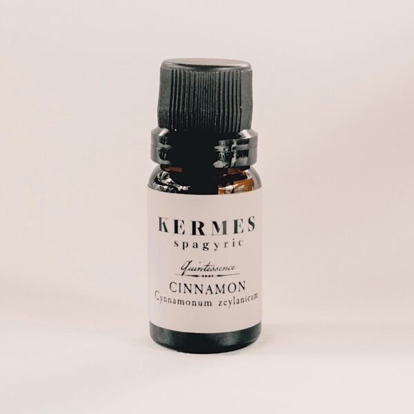 quintessence | cinnamon
