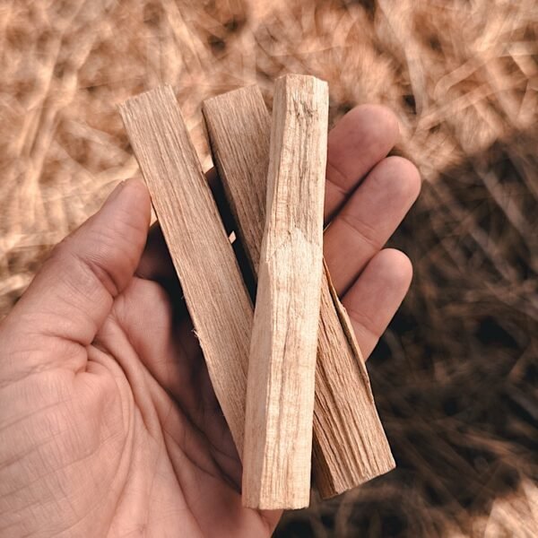 palo santo | small