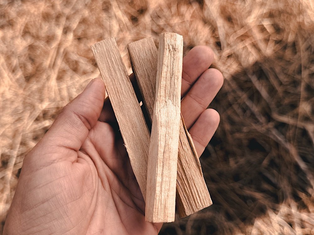 palo santo | small - Image 2