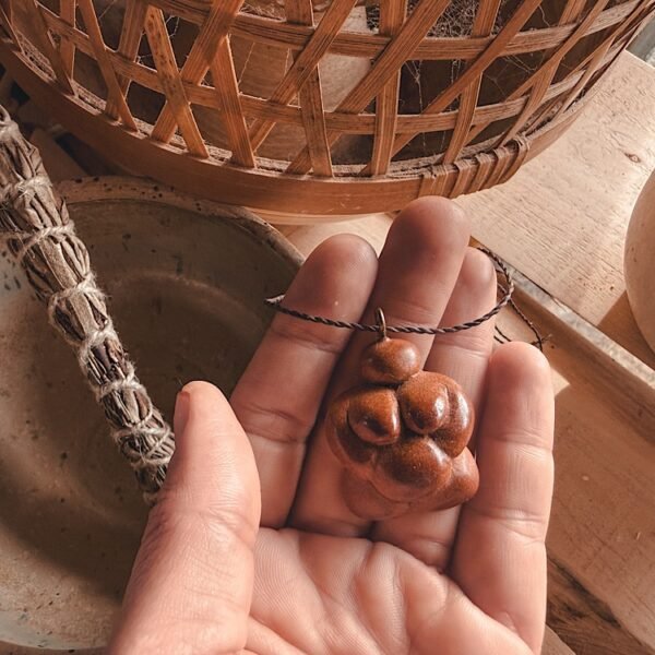 avocado seed | the mother