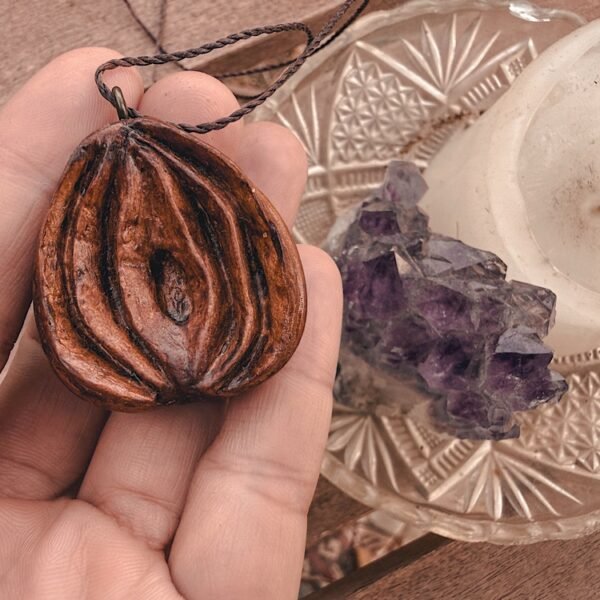 avocado seed | yoni