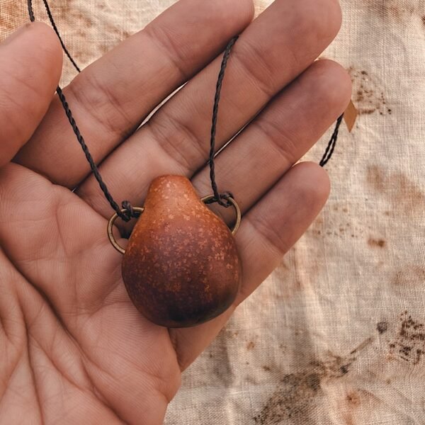 avocado seed | aguadeira