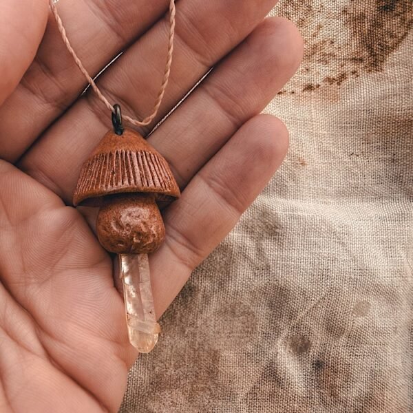 avocado seed | mushroom