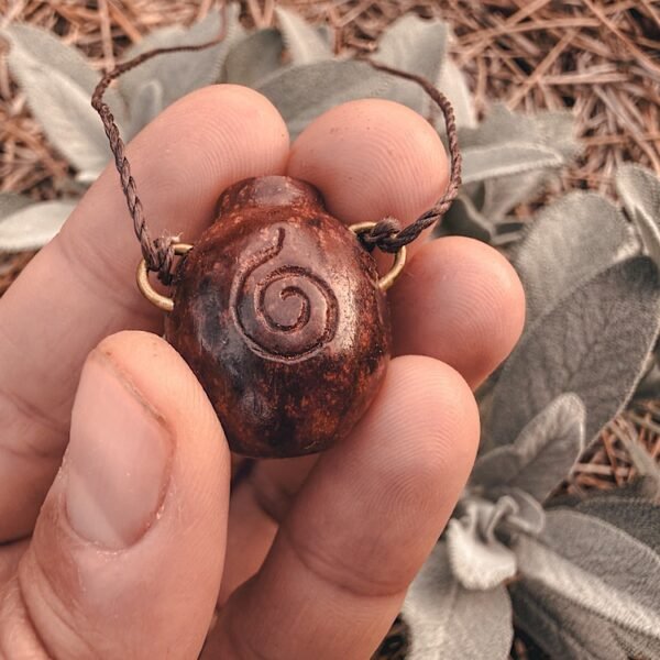 avocado seed | aguadeira II