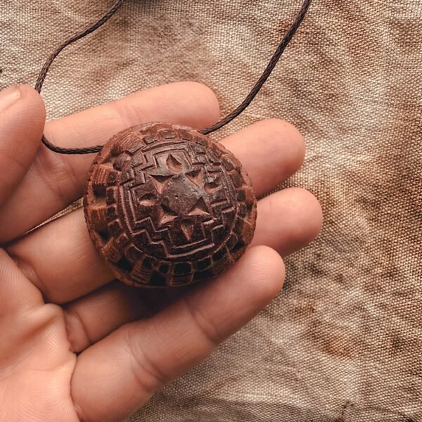 avocado seed | chakana