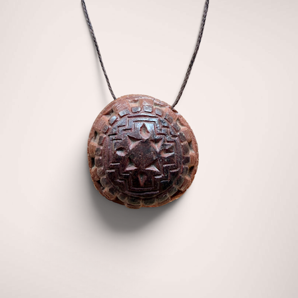 avocado seed | chakana