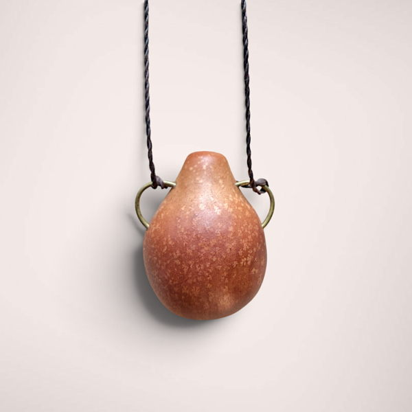 avocado seed | aguadeira