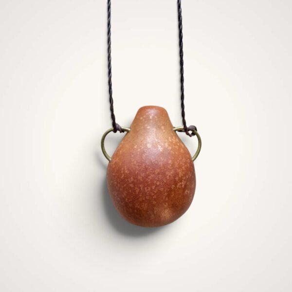 avocado seed | aguadeira