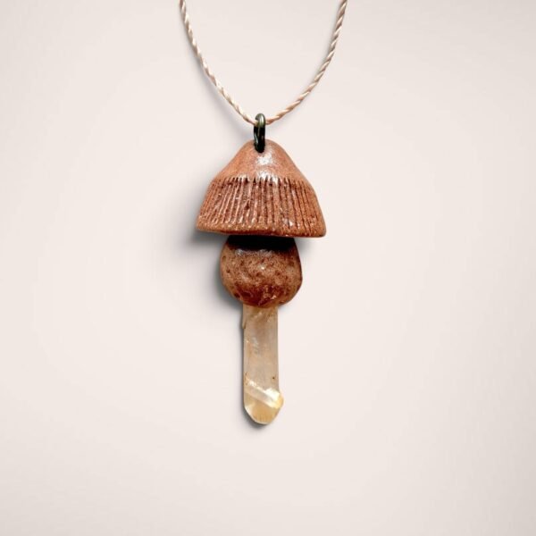 avocado seed | mushroom